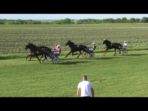 Trka "Grad Pančevo"  22.05.2021  Saphir AT - Miodrag Pantić