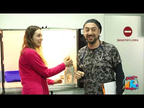 Patinin Hikayesi 83. Bölüm 1. Kısım