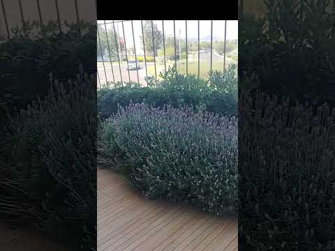 30 de octubre de 2025