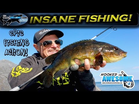 Insane Fishing!! Rod bending action | TAFishing