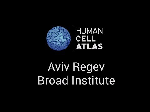 Aviv Regev at the Human Cell Atlas Computational Methods meeting - Stockholm, 1-2 June 2017