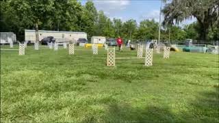 EGAN PIII Jumpers at home