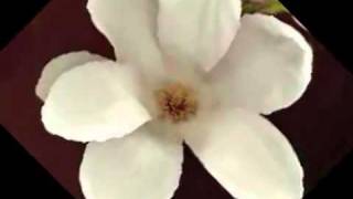 DEBRA KILLINGS   A CHANGE