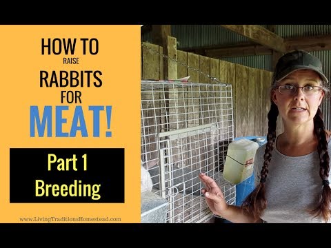 , title : 'How to Raise Rabbits for Meat:  Part 1 Breeding'