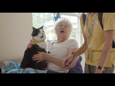 Hand in Paw Nursing Home Visits ft. Phantom the Therapy Cat