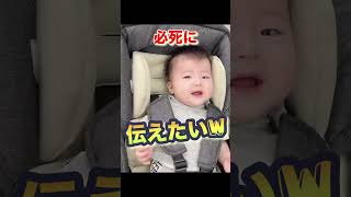 顔真っ赤でえづきながら必死に訴えてくるw #赤ちゃん
