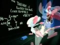 Pinky and the Brain Short Intro 2 in Hungarian ...