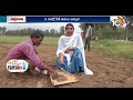 Sesame Management For High Yields Farming Sesame Seeds Matti Manishi 10tv Agri