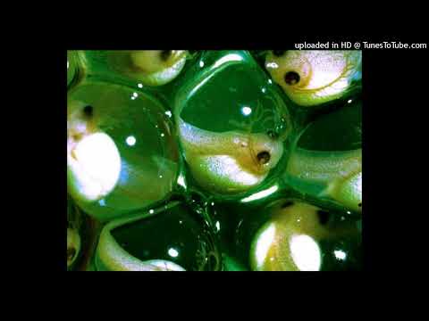 [FREE NONPROFIT] ХАСКИ x TRUWER x 104 x BATO type beat