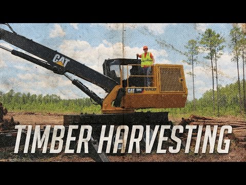 Timber Harvesting at CPTC