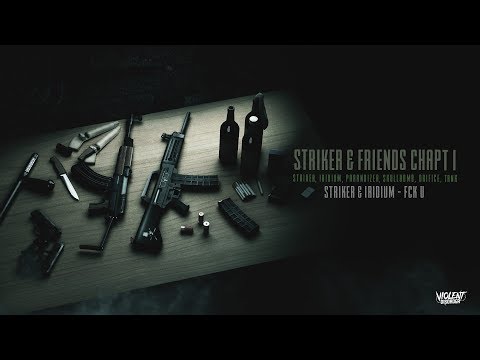 Striker & Iridium - Fck U [VDR010]