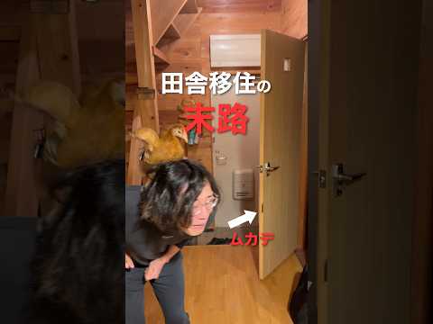 ムカデ vs ニワトリ
