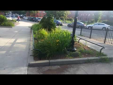 BHA remove benches in Jamaica Plain Mass