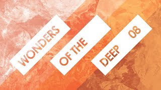 Wonders Of The Deep 08 with LOMER