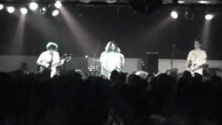 animal collective the purple bottle