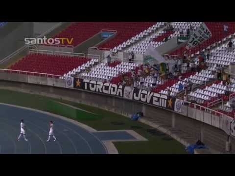 Veja os gols de Botafogo 0X2 Santos