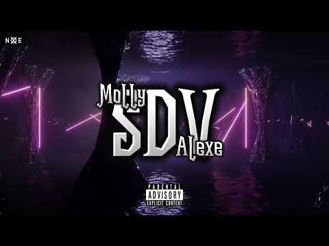 Molly X Alexe - SDV (Visualizer)
