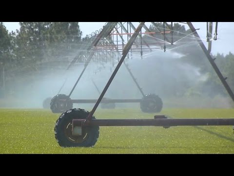 image-What are 4 types of agricultural irrigation?