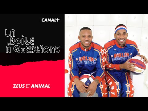 La Boîte à Questions de Zeus et Animal – 09/12/2019