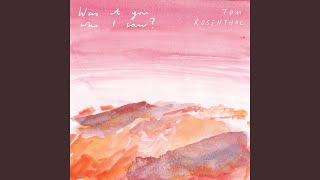 Was It You Who I Saw?