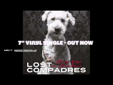 LOST COMPADRES - STRAY DOGS ON CHRISTMAS
