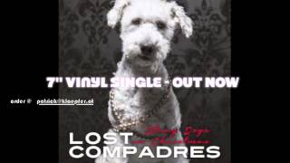 LOST COMPADRES - STRAY DOGS ON CHRISTMAS