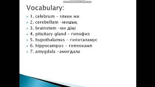 HUMAN BRAIN 11TH CLASS