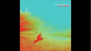 The Flaming Lips- Sun Blows Up Today (Bonus Track)