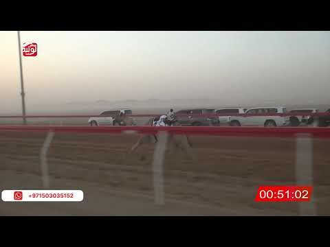  ش 3 (الشاهينيه) لـ حمدان محمد بن خاتم الشامسي 2:09 ، شارة الصندوق 2026/05/30 فطامين الروضة