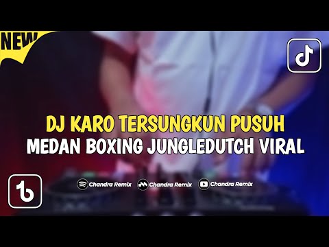 DJ KARO TERSUNGKUN PUSUH BOXING TIKTOK VIRAL JUNGLEDUTCH 2024