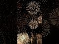Celebrate Today Fireworks With Sound Effects