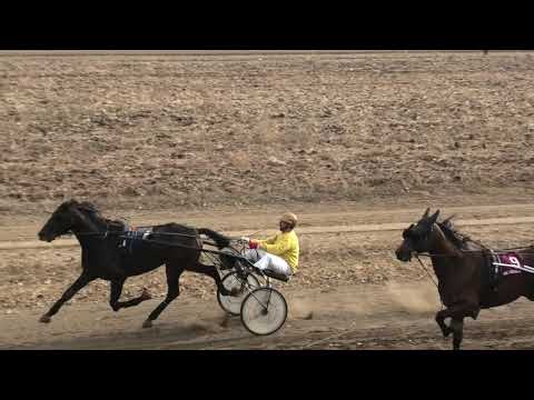 Trka "Restoran Carigradski drum" 06.10.2019 Elpenor AT - Dejan Katanić