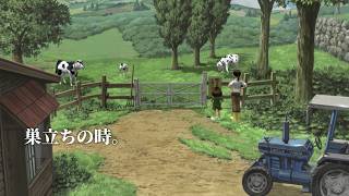 イカ飯の放牧、お乳からの卒業。8月16日【ぼくのなつやすみ３実況】