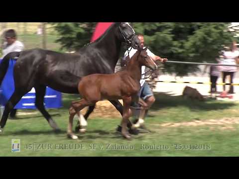 Kat-Nr. 45 Zur Freude