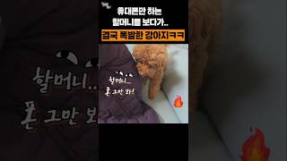 휴대폰만 하는 할머니를 보다 결국 폭발 ㅋㅋ