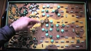 KAPOK GROVE FOR S. LAWRENCE