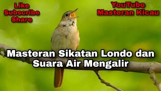 Download lagu MASTERAN BURUNG SIKATAN LONDO DAN SUARA AIR MENGALIR mp3 Download lagu MASTERAN BURUNG SIKATAN LONDO DAN SUARA AIR MENGALIR mp3
