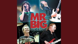 Download lagu Green Tinted Sixties Mind mp3