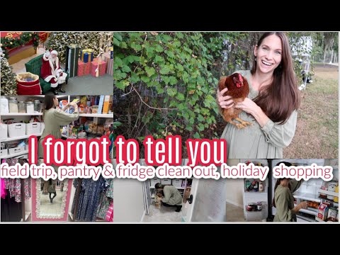 Oh I Forgot To Tell You! Pantry & Fridge Clean Out, Holiday Shopping, Weekly Reset, DITL Stuff!
