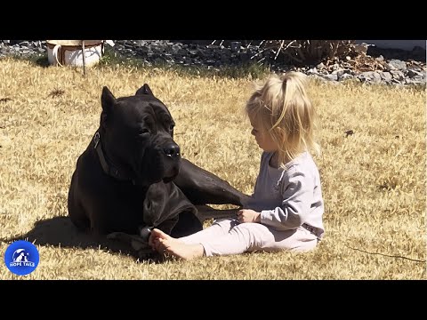 HopeTails and Heartprint Tales