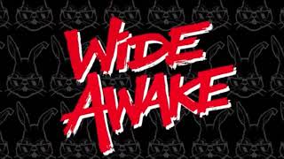 WiDE AWAKE - Down Up! [GotSome Remix]