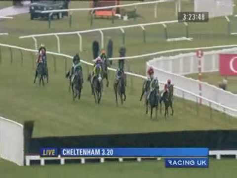 2010 totesport Cheltenham Gold Cup Chase