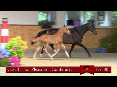 Nr 30 Casall   For Pleasure   Contender