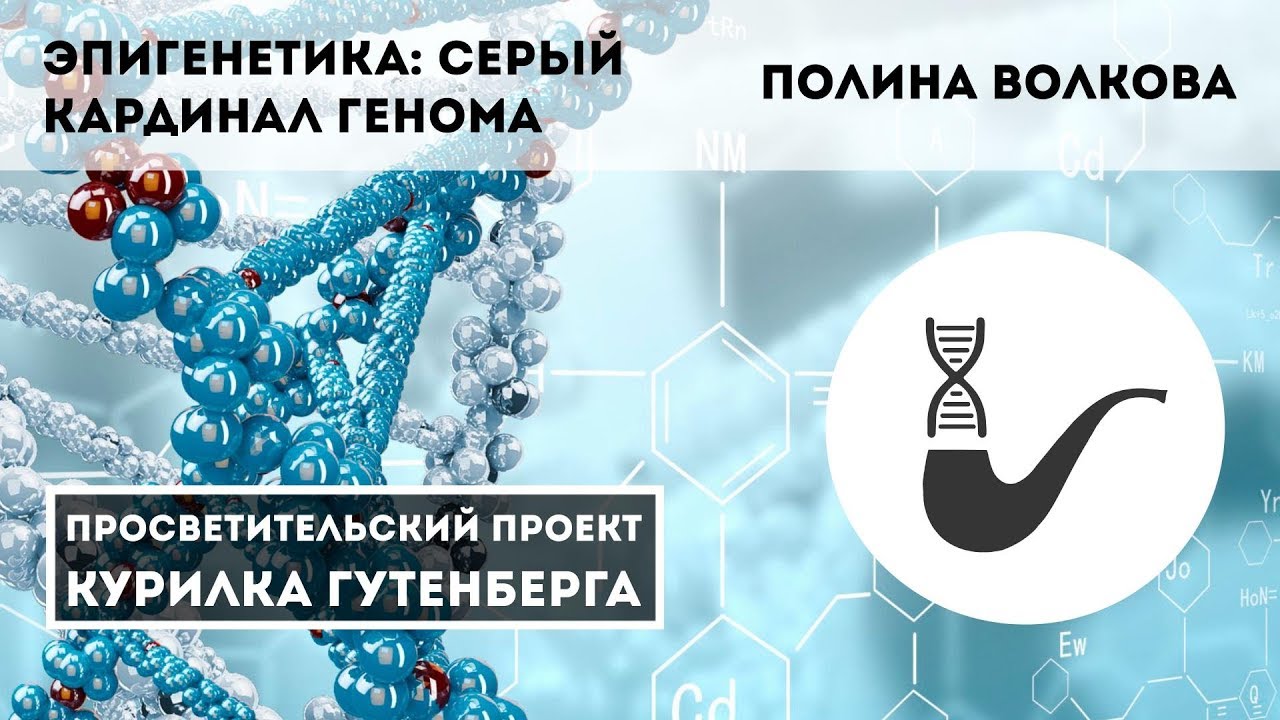 ��������� ����� �� ����� - ��� ������ ����