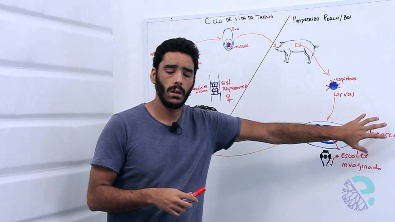 Ciclo de vida da Taenia