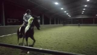 Emily and Fred Dressage Lesson (Vid 4)