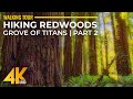 4K HDR Virtual Walk in Redwoods - Highest Trees & Forest Sounds - Hiking Grove of Titans Trail - #2