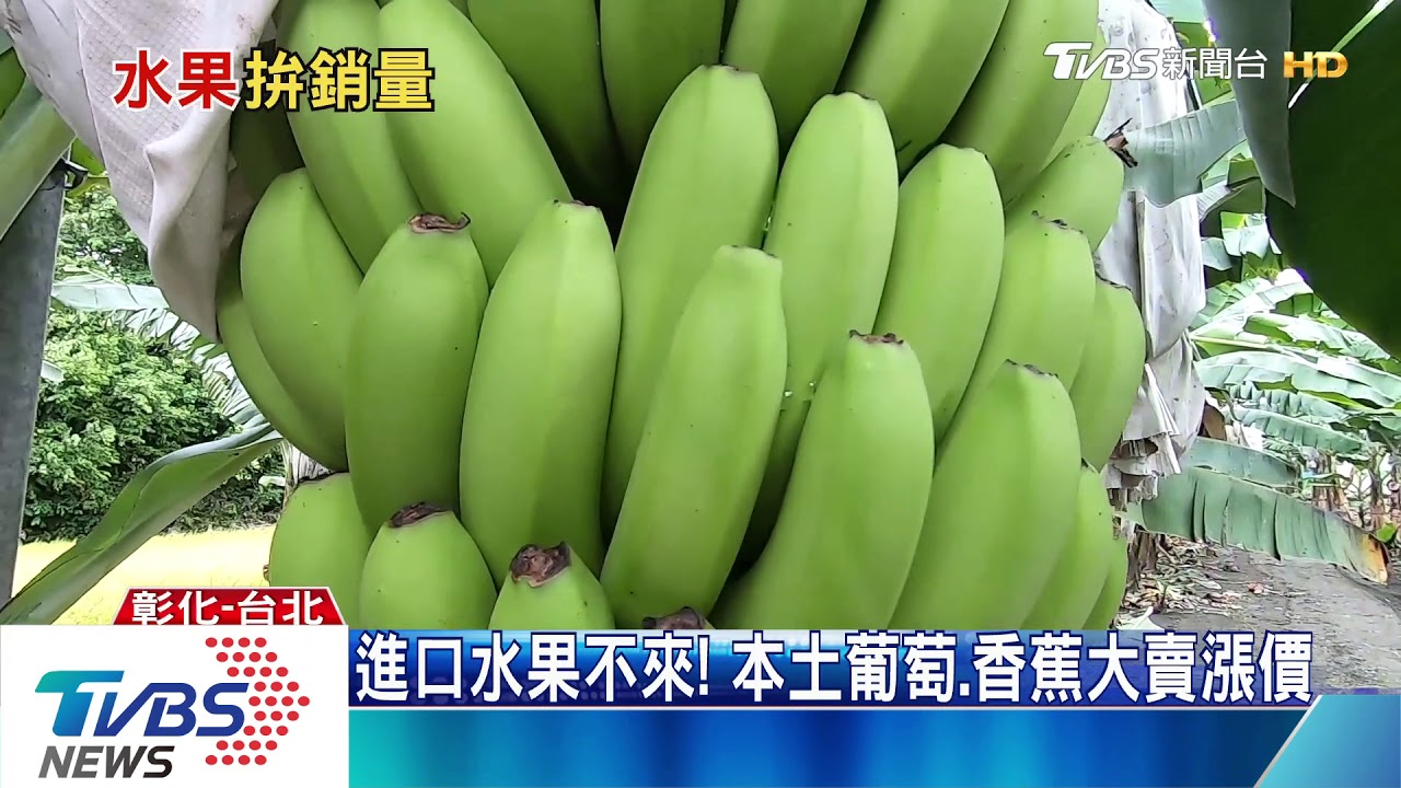 進口水果不來! 本土葡萄、香蕉大賣漲價
