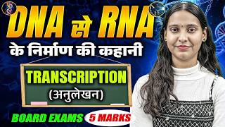 Transcription (अनुलेखन) | DNA से RNA की पूरी कहानी | Class 12th Biology By Nidhi Mam