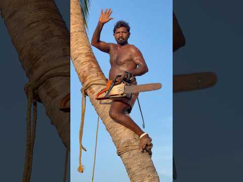 8610339350 tree cutter Suyambu | Kottaram tree cutting